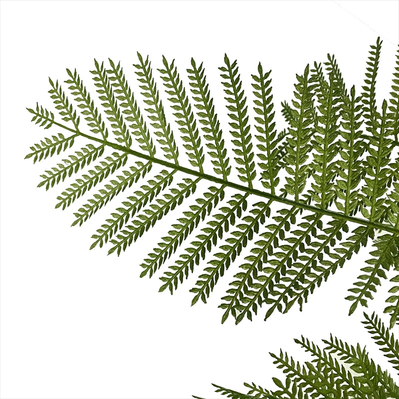 光触媒 エバーフレッシュ フェイクグリーン 人工観葉植物 120cm 160cm 180cm 鉢付属 インテリア グリーン お手入れ簡単