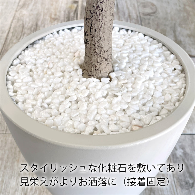 光触媒 エバーフレッシュ フェイクグリーン 人工観葉植物 120cm 160cm 180cm 鉢付属 インテリア グリーン お手入れ簡単