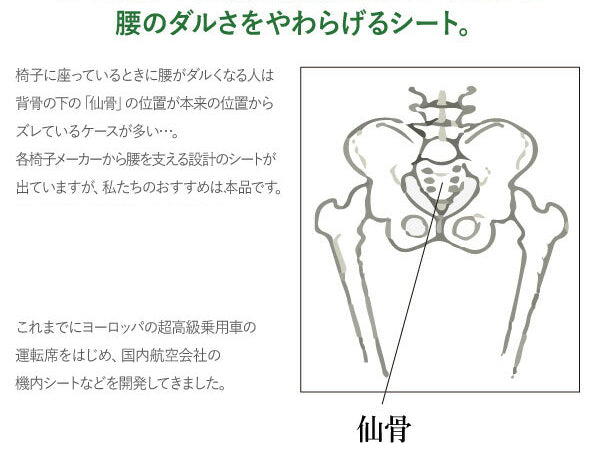 座椅子 背もたれ 腰痛 矯正 美容　骨盤　チェア 3D シェル チェア 脚付き F-1538A　ハイタイプ/脚付き