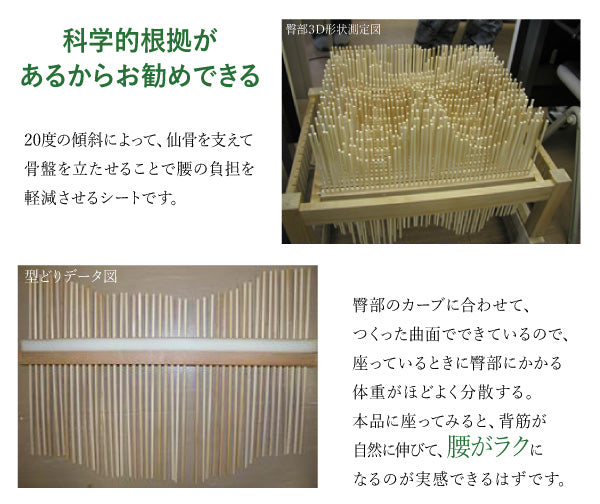 座椅子 背もたれ 腰痛 矯正 美容 骨盤 チェア 3D シェル チェア 脚付き F-1538A ハイタイプ/脚付き