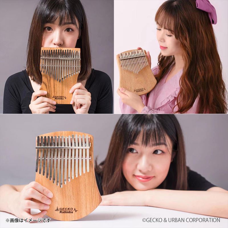 カリンバ フラワー ケース付 17キー C調 ブラウン GKL-400