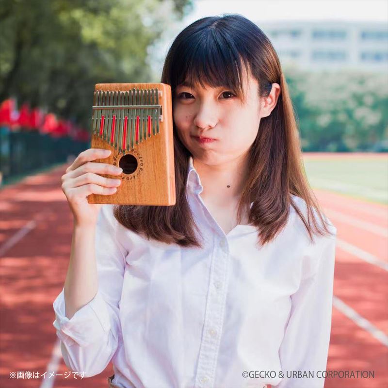 カリンバ フラワー ケース付 17キー C調 ブラウン GKL-400