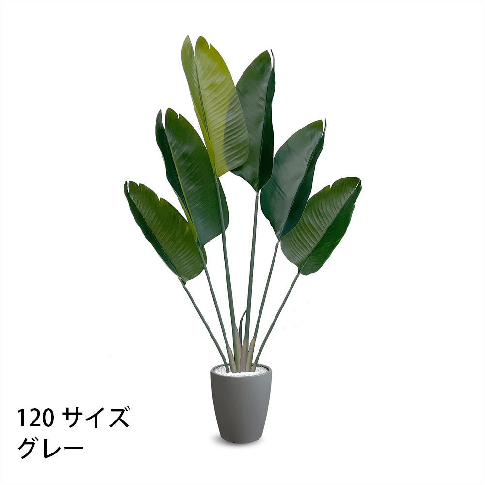 ストレチリア フェイクグリーン 人工観葉植物 120cm 150cm 180cm 鉢付属 インテリア グリーン お手入れ簡単