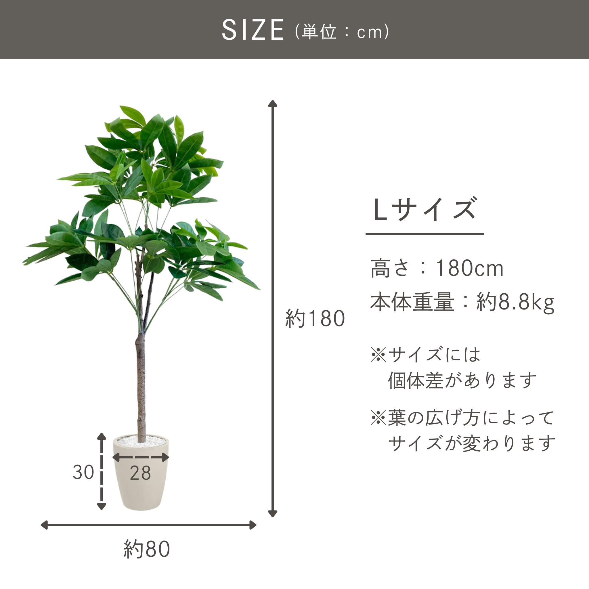 光触媒 パキラ フェイクグリーン 鉢付属[90/120/150/180cm]