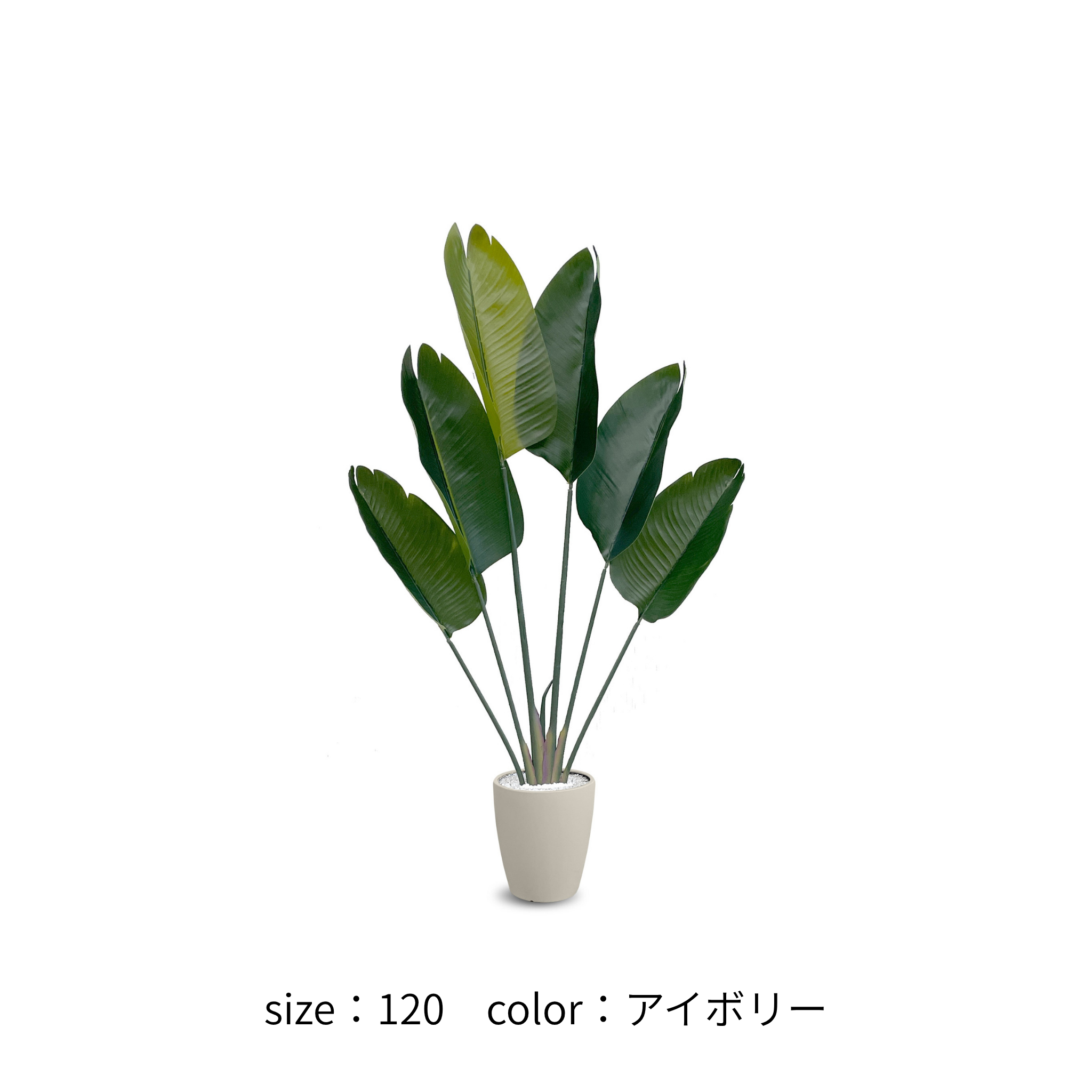 ストレチリア フェイクグリーン 鉢付属[120/150/180cm]
