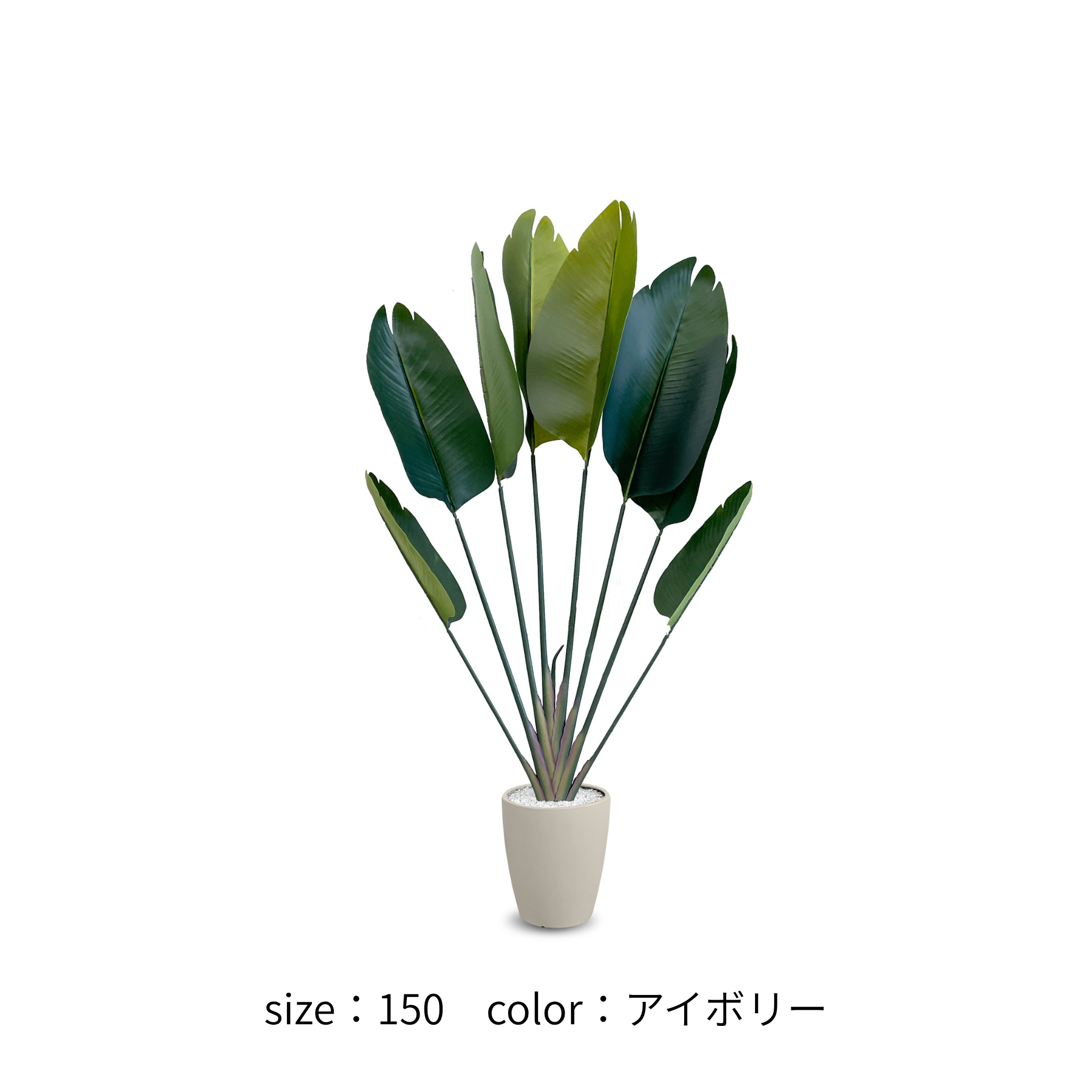 ストレチリア フェイクグリーン 鉢付属[120/150/180cm]