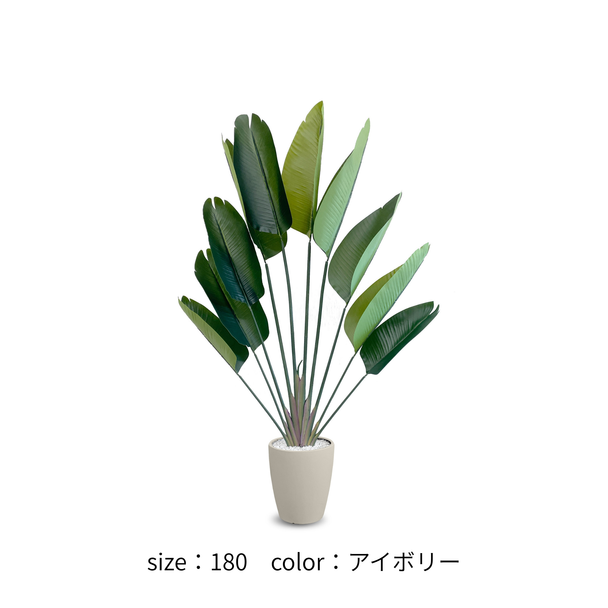ストレチリア フェイクグリーン 鉢付属[120/150/180cm]