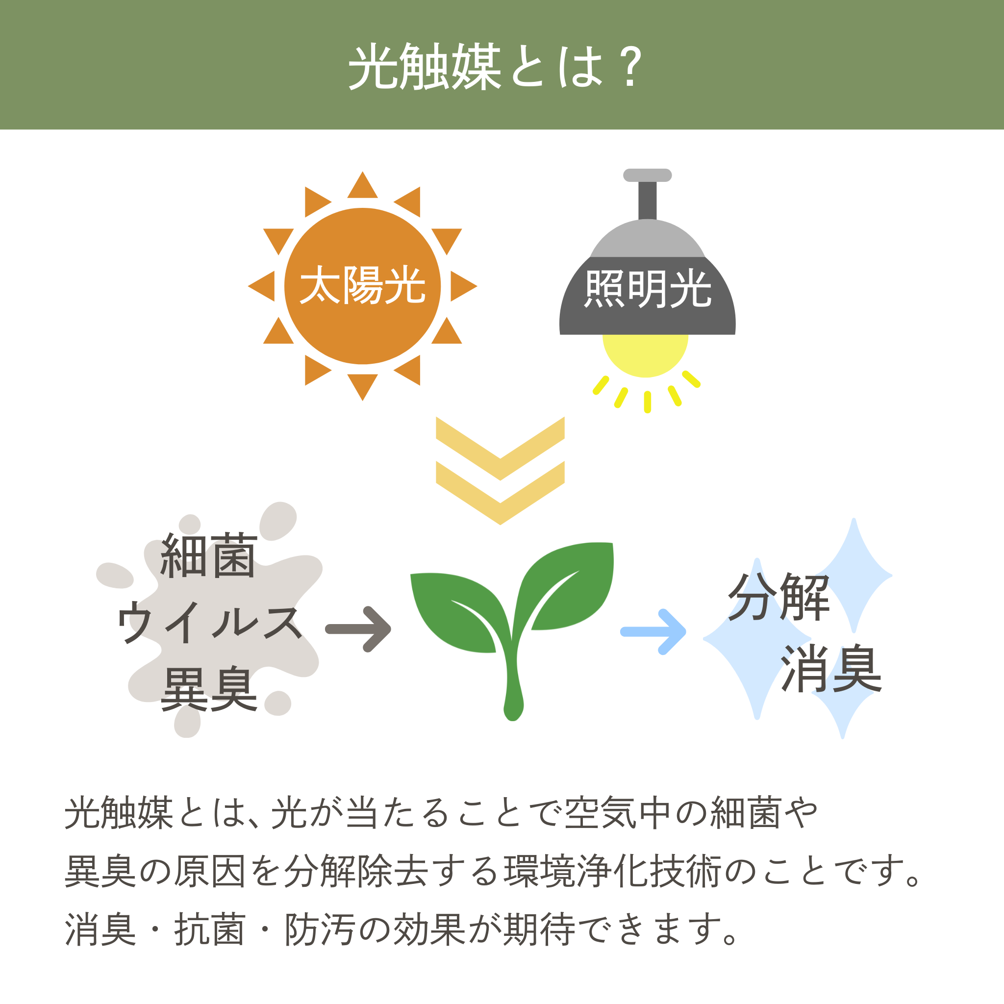光触媒 パキラ フェイクグリーン 鉢付属[90/120/150/180cm]