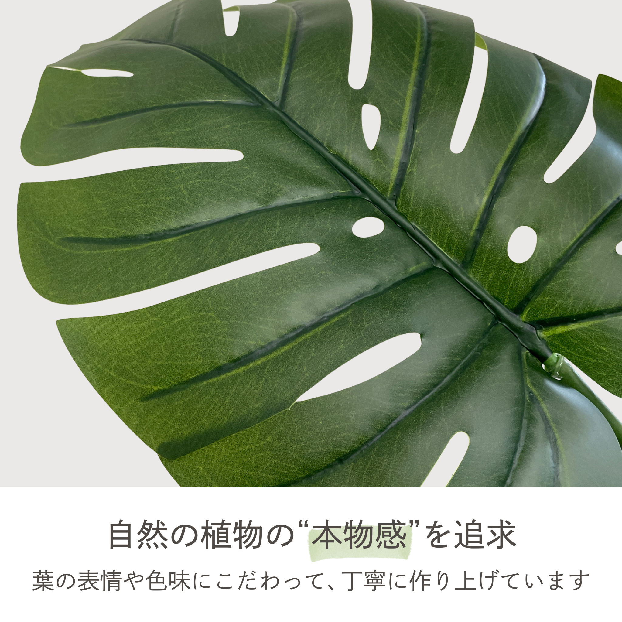 モンステラ フェイクグリーン 鉢付属[120/150/180cm]