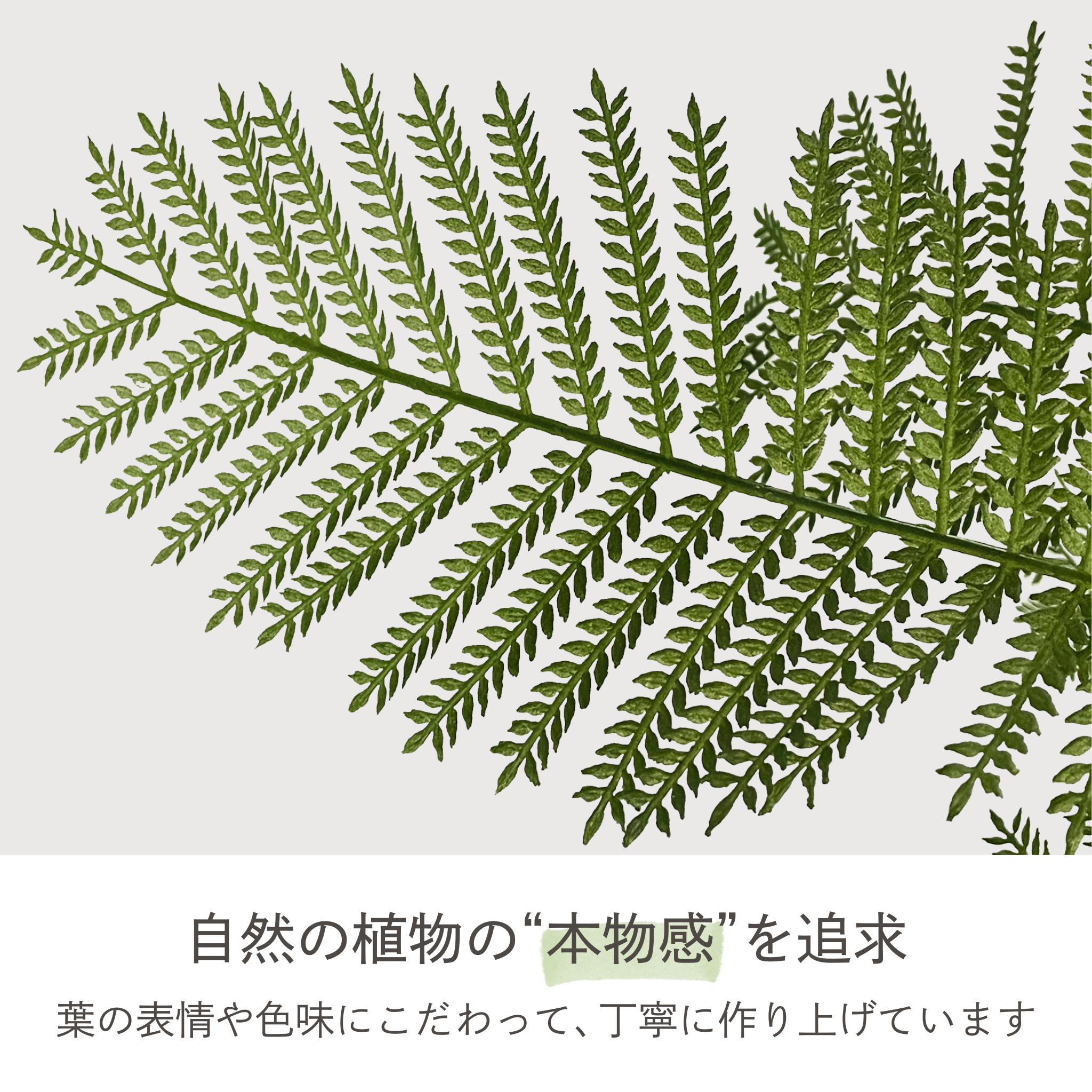 光触媒 エバーフレッシュ フェイクグリーン 鉢付属[120/160/180cm]