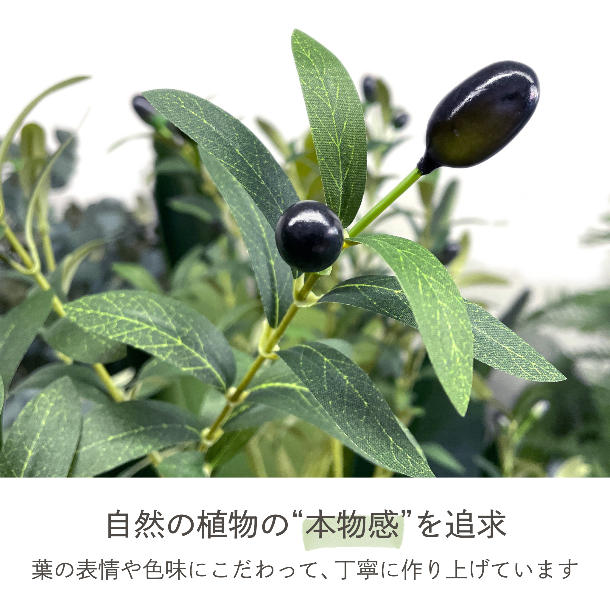 光触媒 オリーブ フェイクグリーン 鉢付属[90/120/150/180cm]