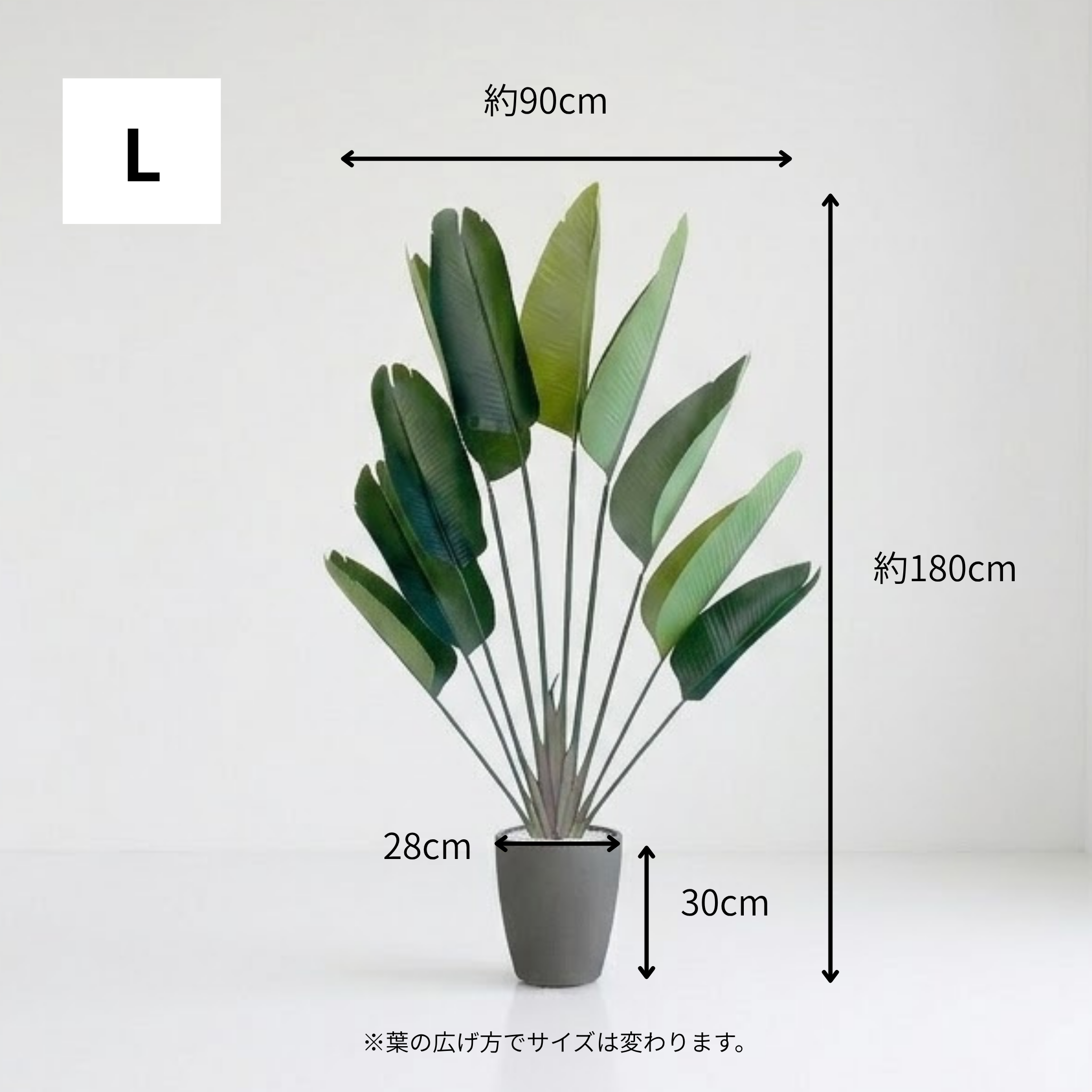 ストレチリア フェイクグリーン 鉢付属[120/150/180cm]