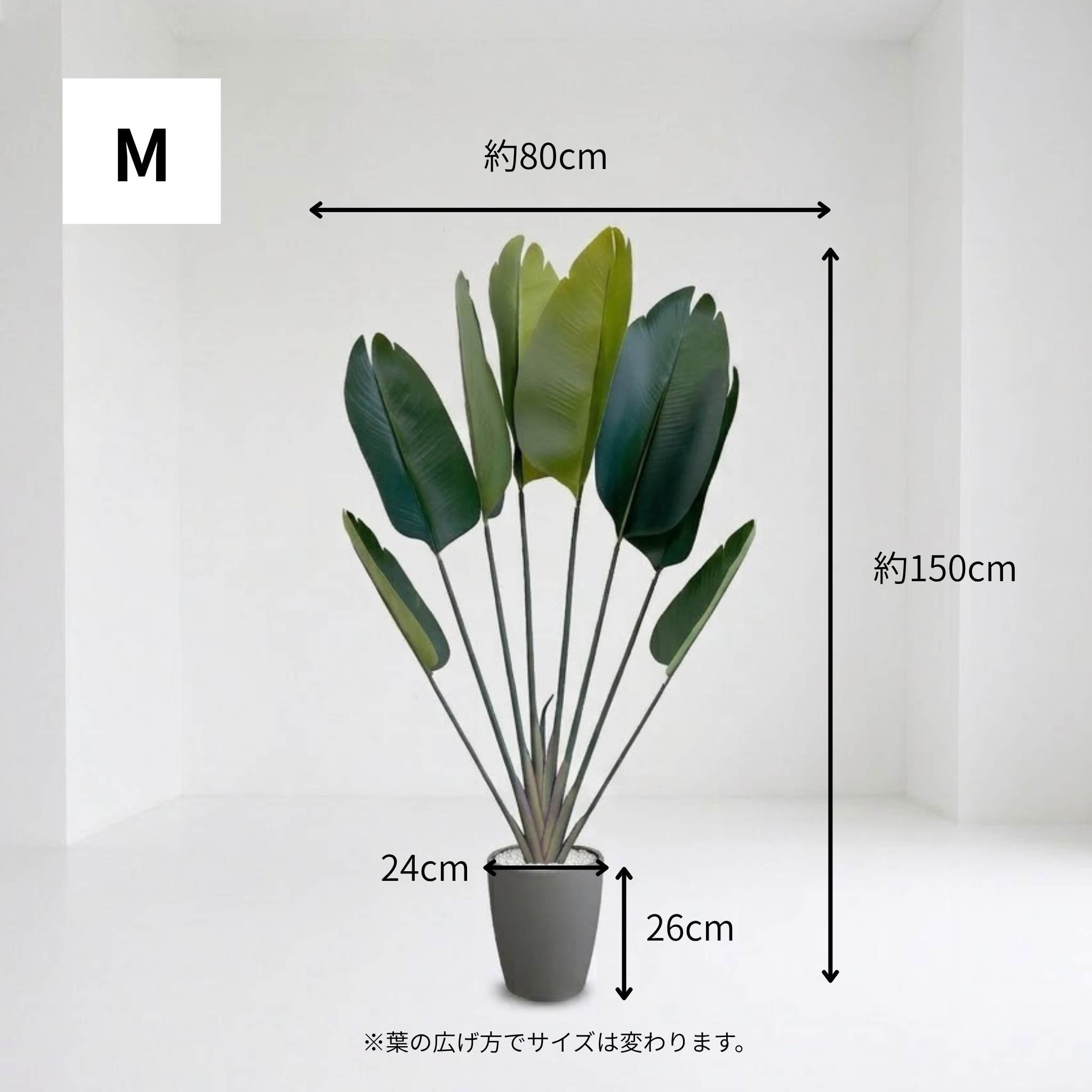 ストレチリア フェイクグリーン 鉢付属[120/150/180cm]