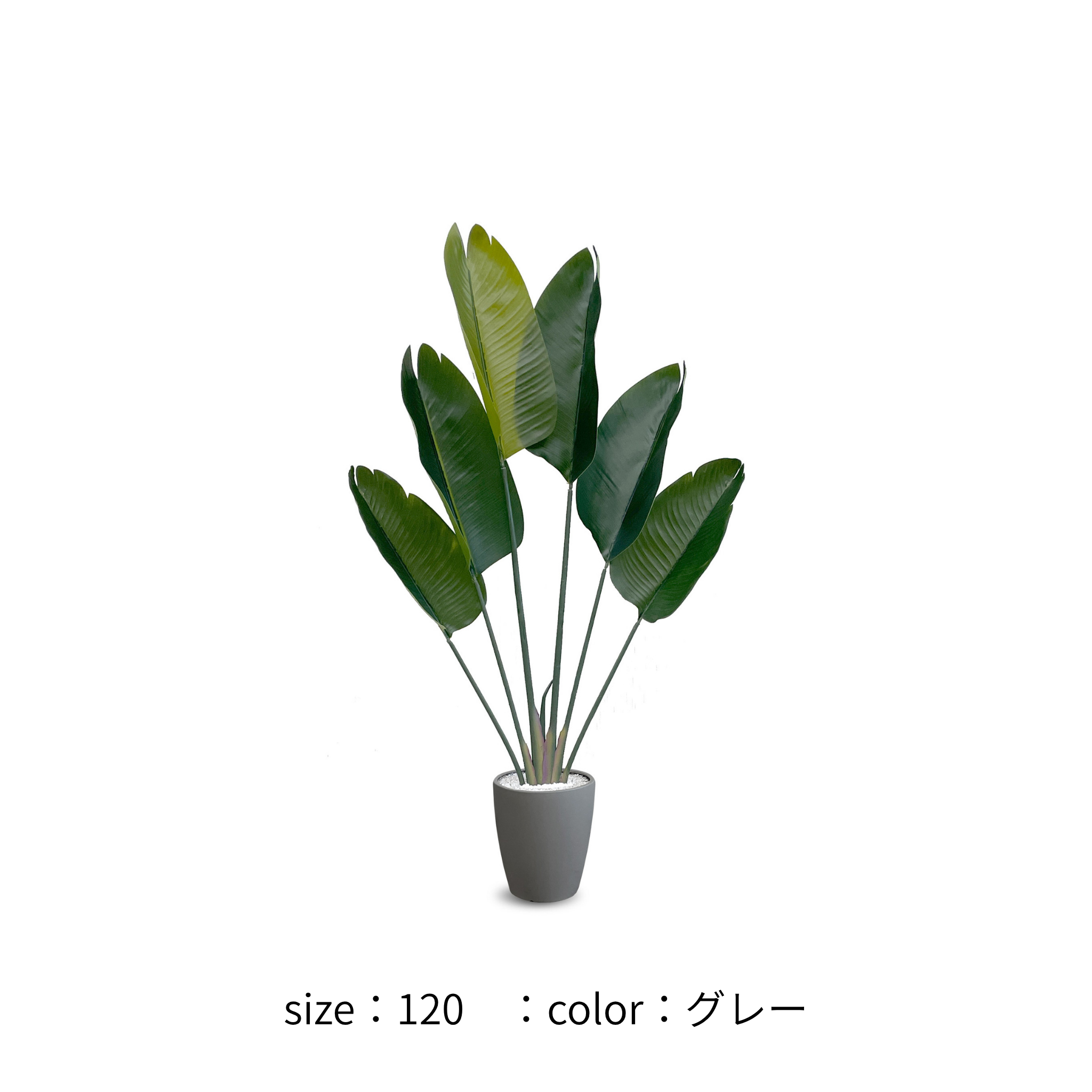 ストレチリア フェイクグリーン 鉢付属[120/150/180cm]