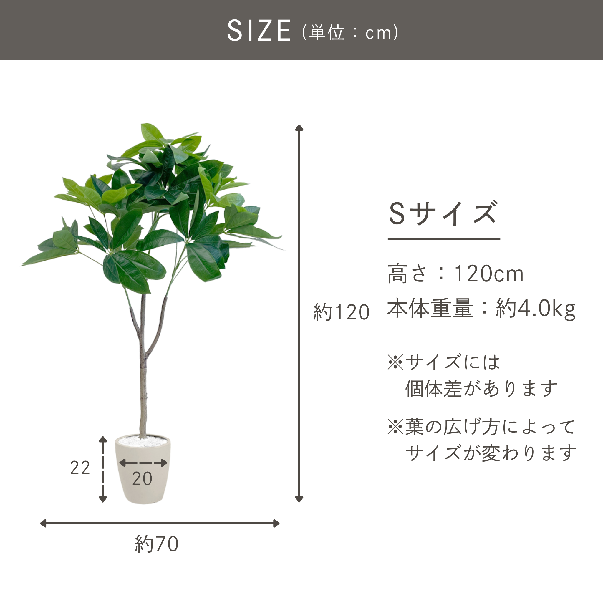 光触媒 パキラ フェイクグリーン 鉢付属[90/120/150/180cm]