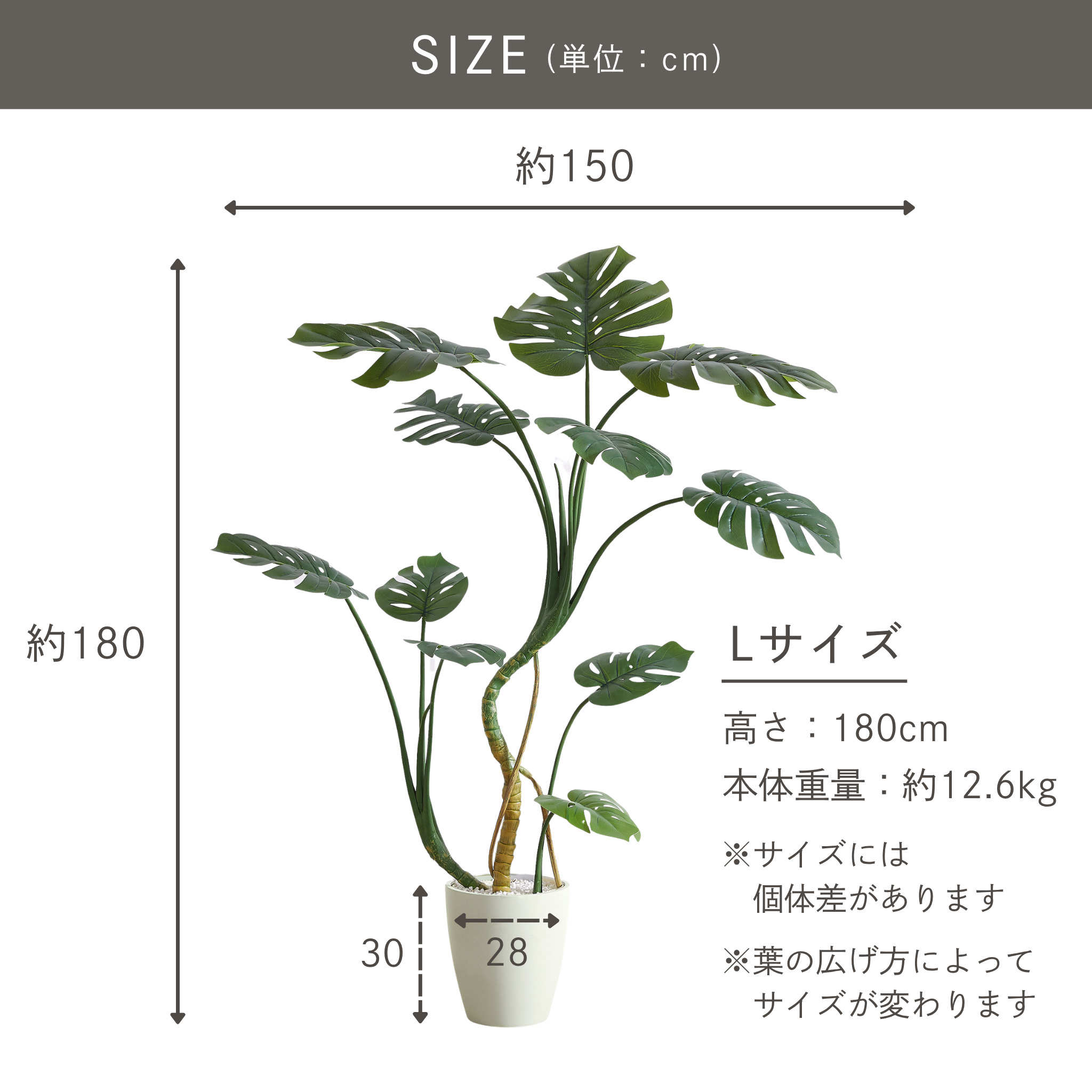 モンステラ フェイクグリーン 鉢付属[120/150/180cm]
