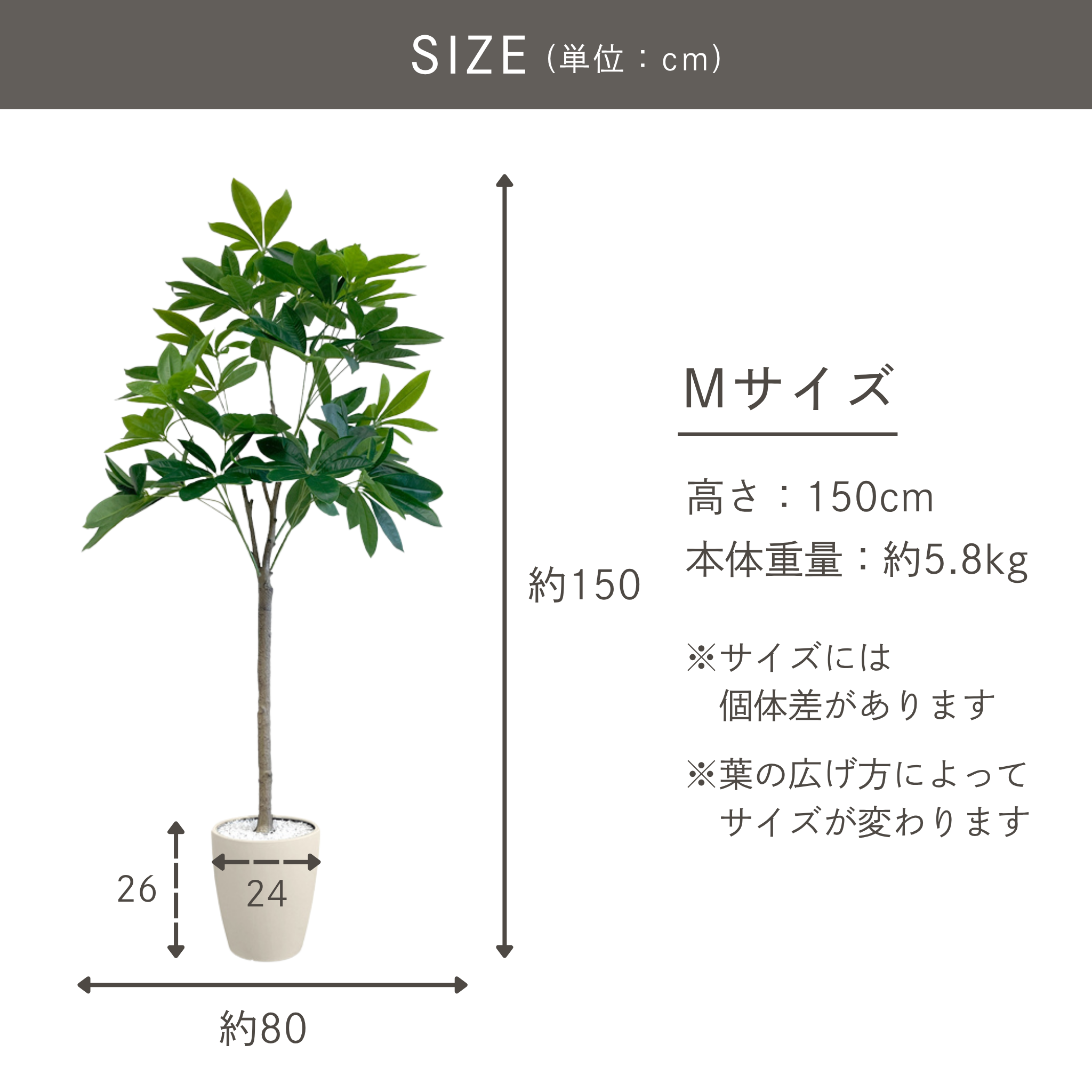 光触媒 パキラ フェイクグリーン 鉢付属[90/120/150/180cm]