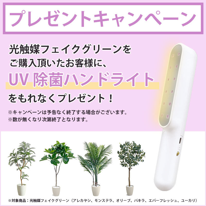 光触媒 エバーフレッシュ フェイクグリーン 人工観葉植物 120cm 160cm 180cm 鉢付属 インテリア グリーン お手入れ簡単