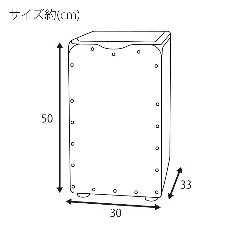 GECKO カホン Cajon ハイエンドモデル 打楽器 木製 エボニー バーチウッド  パーカション ボックスドラム 専用ケース付き 内部ギター弦 ストリング 33*30*50cm  CL97