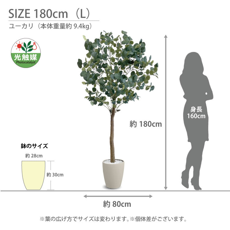光触媒 フェイクグリーン ユーカリ 人工観葉植物 120cm 150cm 180cm 鉢付属 インテリア グリーン お手入れ簡単