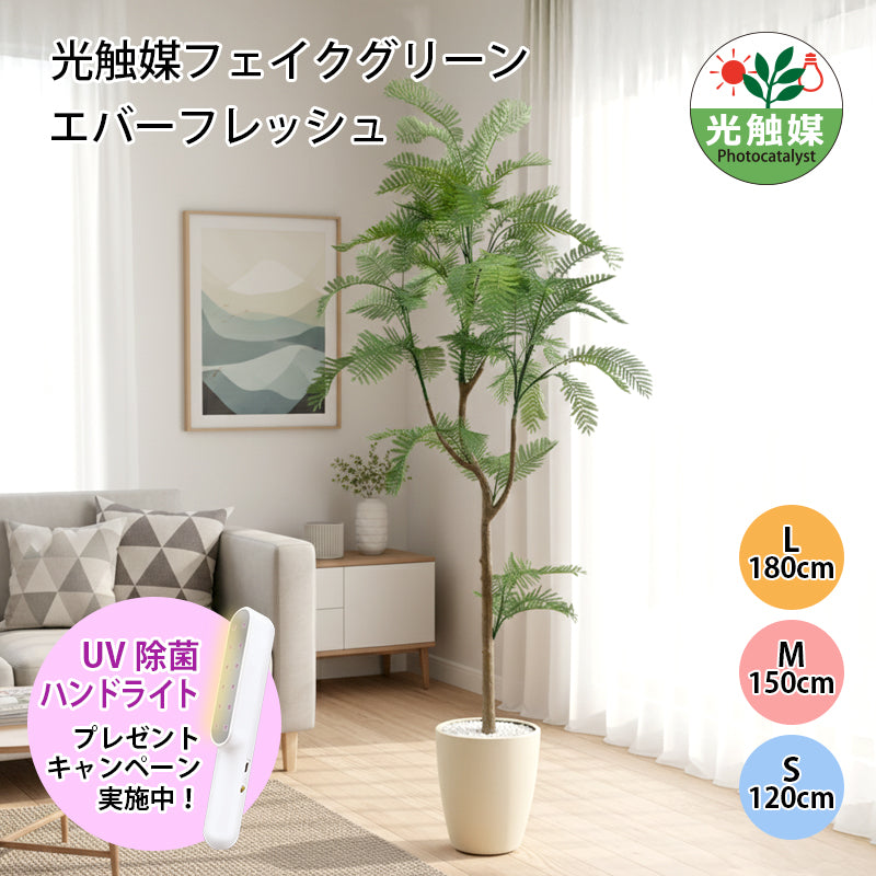 光触媒 エバーフレッシュ フェイクグリーン 人工観葉植物 120cm 160cm 180cm 鉢付属 インテリア グリーン お手入れ簡単