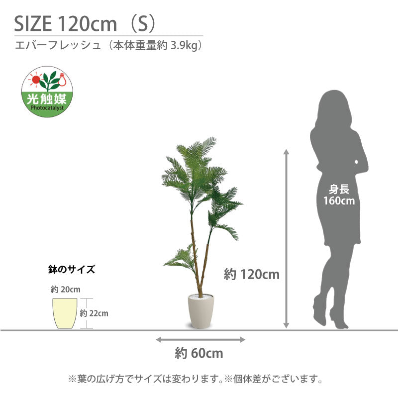 光触媒 エバーフレッシュ フェイクグリーン 人工観葉植物 120cm 160cm 180cm 鉢付属 インテリア グリーン お手入れ簡単