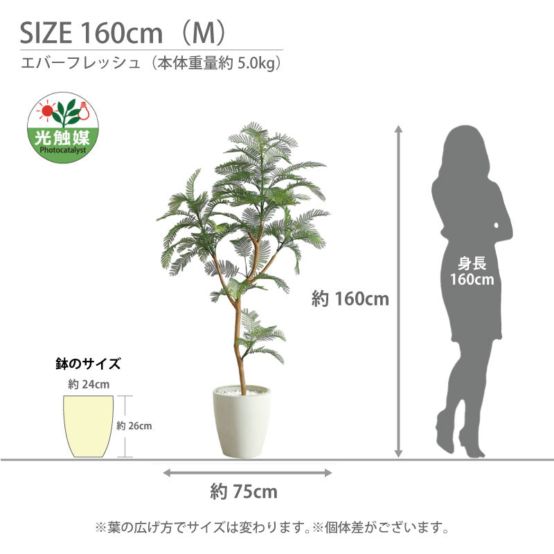 光触媒 エバーフレッシュ フェイクグリーン 人工観葉植物 120cm 160cm 180cm 鉢付属 インテリア グリーン お手入れ簡単