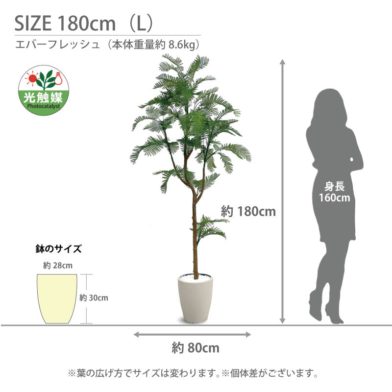 光触媒 エバーフレッシュ フェイクグリーン 人工観葉植物 120cm 160cm 180cm 鉢付属 インテリア グリーン お手入れ簡単