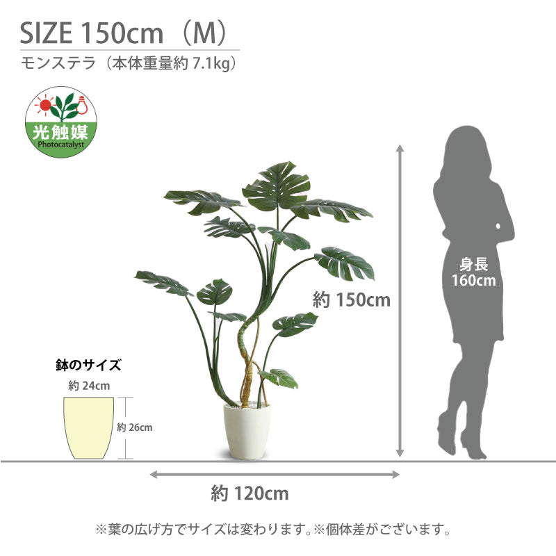 光触媒 モンステラ フェイクグリーン 人工観葉植物 120cm 150cm 180cm 鉢付属 インテリア グリーン お手入れ簡単