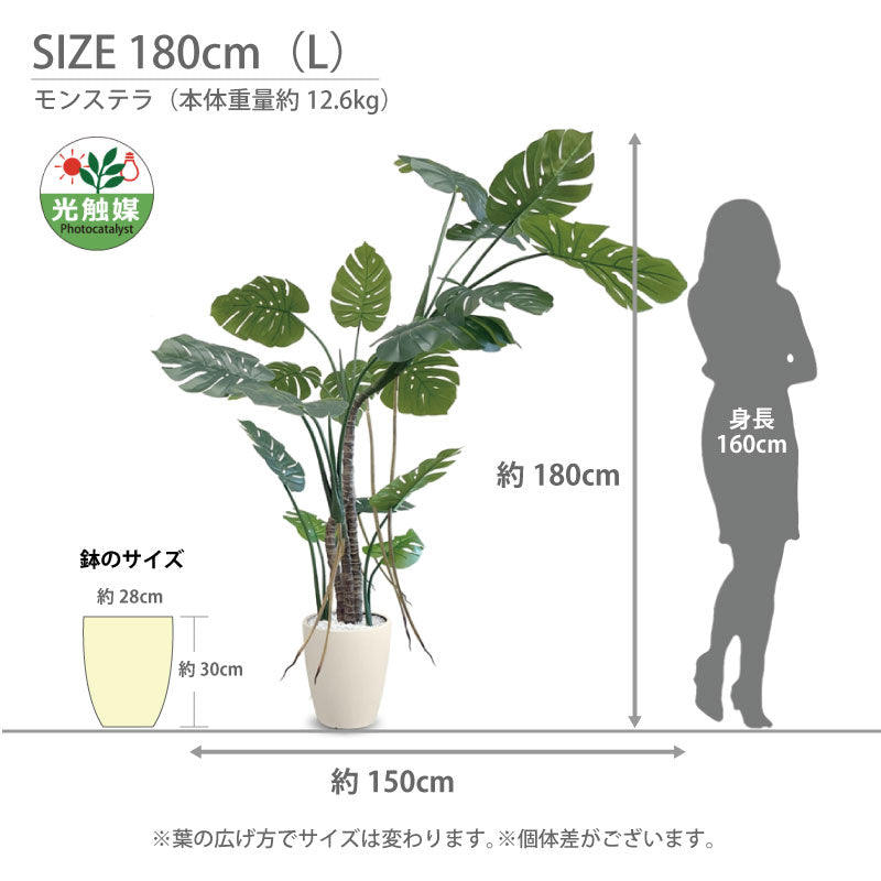 光触媒 モンステラ フェイクグリーン 人工観葉植物 120cm 150cm 180cm 鉢付属 インテリア グリーン お手入れ簡単