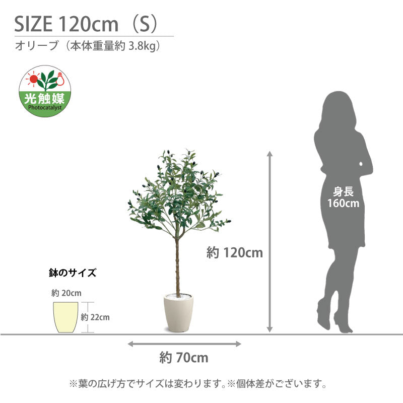 光触媒 オリーブ フェイクグリーン 人工観葉植物 90cm 120cm 150cm 180cm 鉢付属 インテリア グリーン お手入れ簡単