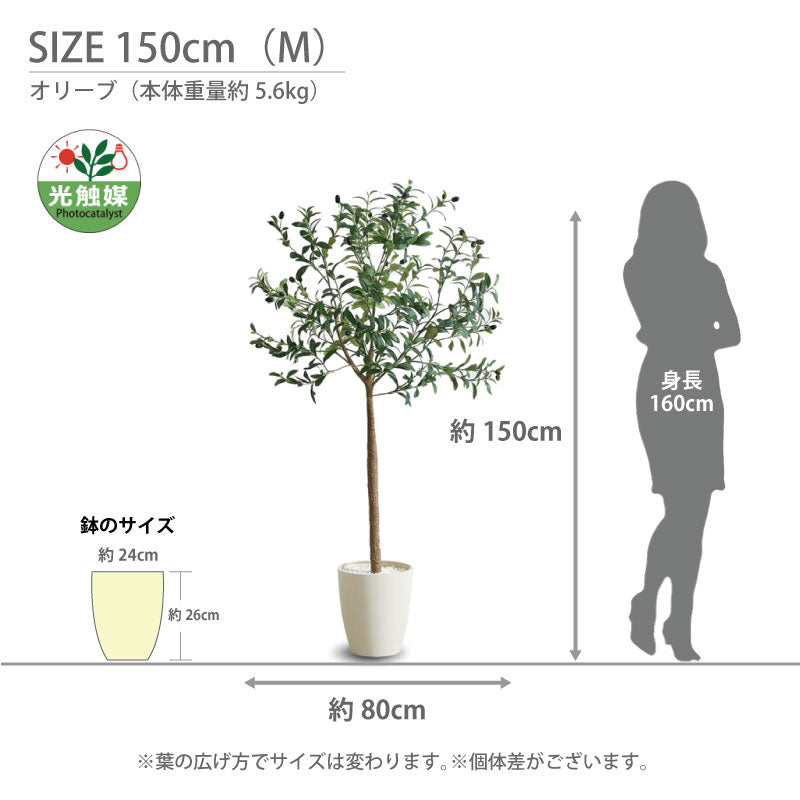 光触媒 オリーブ フェイクグリーン 人工観葉植物 90cm 120cm 150cm 180cm 鉢付属 インテリア グリーン お手入れ簡単