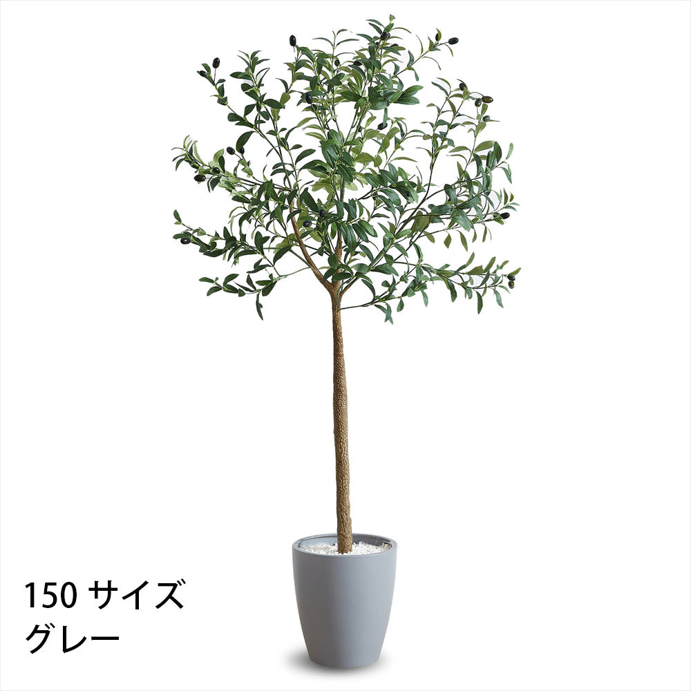 オリーブ フェイクグリーン 人工観葉植物 120cm 150cm 180cm 鉢付属 インテリア グリーン お手入れ簡単