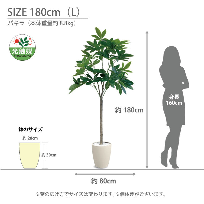 光触媒 パキラ フェイクグリーン 人工観葉植物 90cm 120cm 150cm 180cm 鉢付属 インテリア グリーン お手入れ簡単