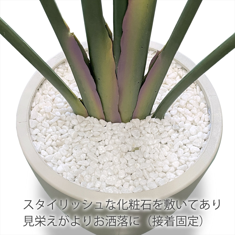 ストレチリア フェイクグリーン 人工観葉植物 120cm 150cm 180cm 鉢付属 インテリア グリーン お手入れ簡単