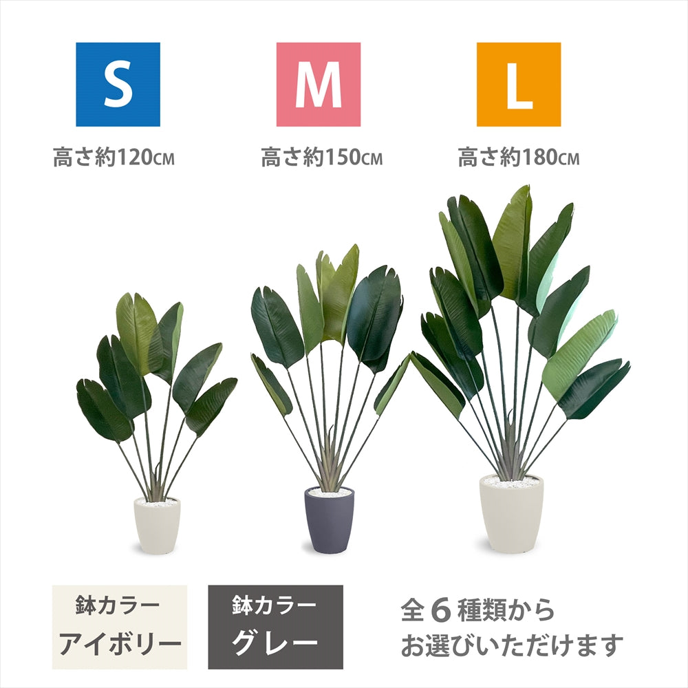 ストレチリア フェイクグリーン 人工観葉植物 120cm 150cm 180cm 鉢付属 インテリア グリーン お手入れ簡単