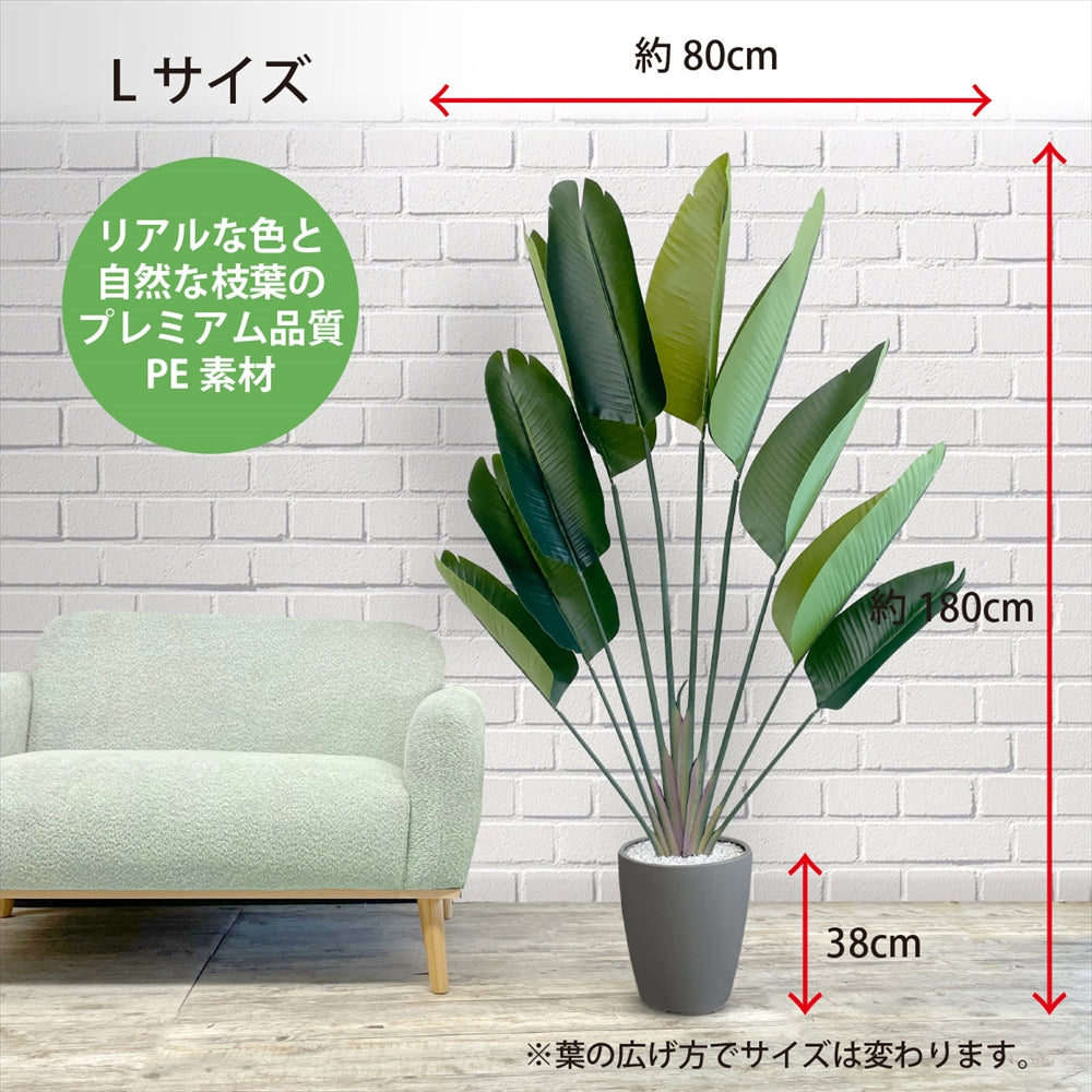 ストレチリア フェイクグリーン 人工観葉植物 120cm 150cm 180cm 鉢付属 インテリア グリーン お手入れ簡単