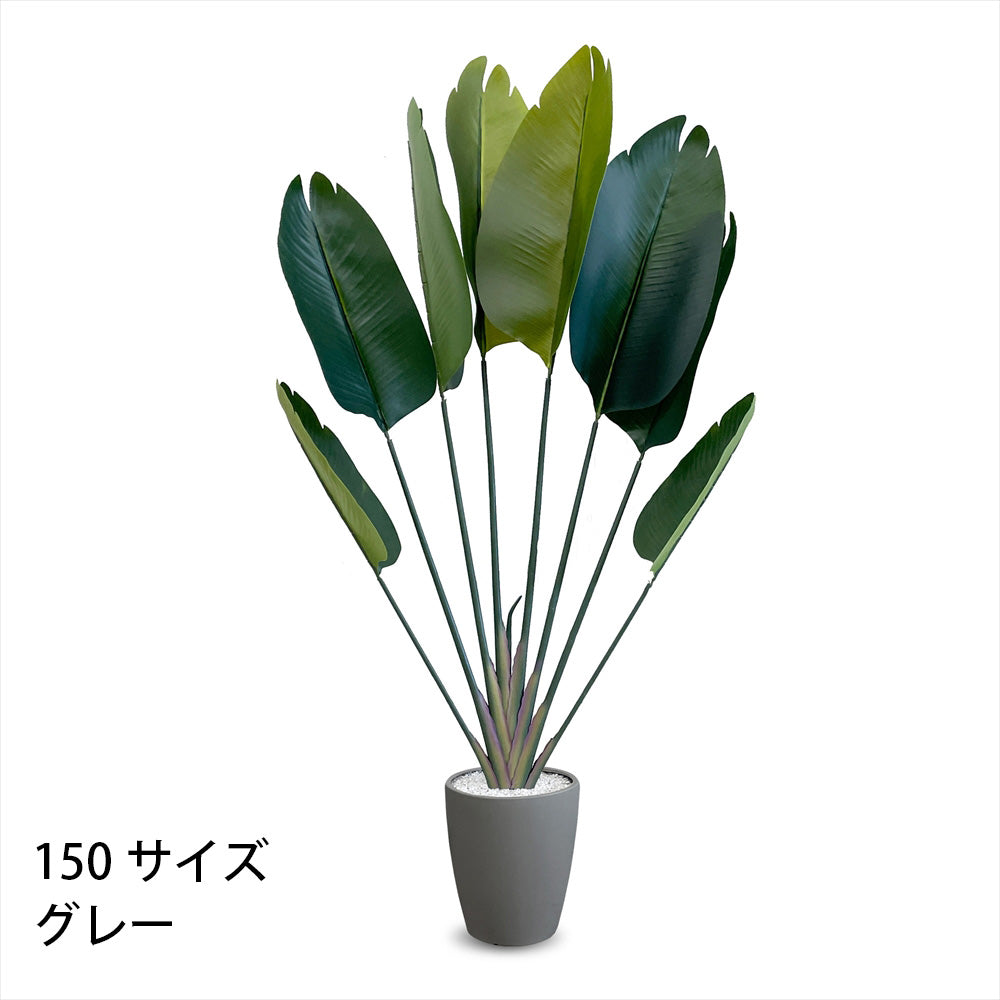 ストレチリア フェイクグリーン 人工観葉植物 120cm 150cm 180cm 鉢付属 インテリア グリーン お手入れ簡単