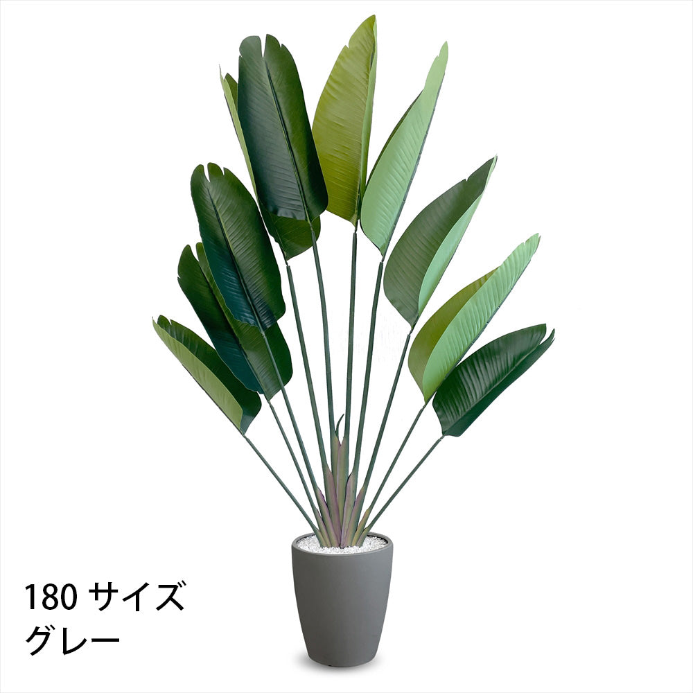 ストレチリア フェイクグリーン 人工観葉植物 120cm 150cm 180cm 鉢付属 インテリア グリーン お手入れ簡単