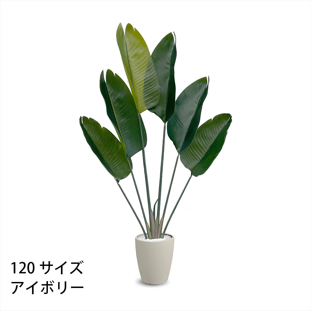 ストレチリア フェイクグリーン 人工観葉植物 120cm 150cm 180cm 鉢付属 インテリア グリーン お手入れ簡単