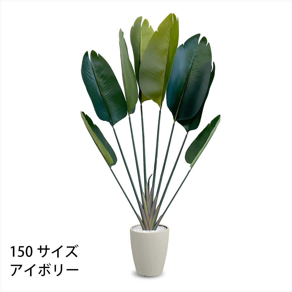 ストレチリア フェイクグリーン 人工観葉植物 120cm 150cm 180cm 鉢付属 インテリア グリーン お手入れ簡単