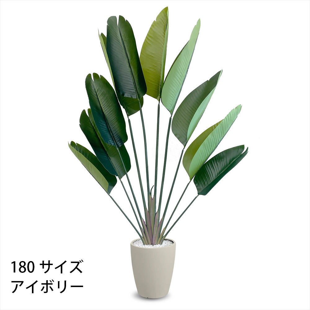 ストレチリア フェイクグリーン 人工観葉植物 120cm 150cm 180cm 鉢付属 インテリア グリーン お手入れ簡単