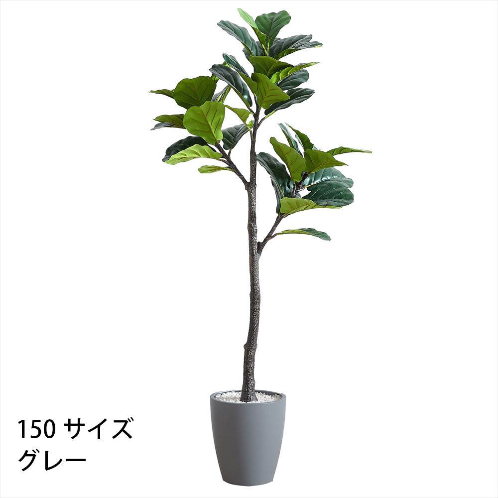 フィカスリラータ フェイクグリーン 人工観葉植物 120cm 150cm 180cm 鉢付属 インテリア グリーン お手入れ簡単